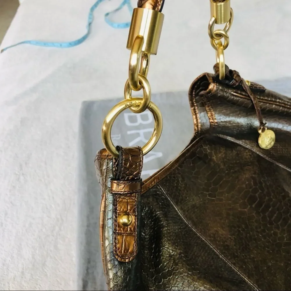 Brahmin new dust